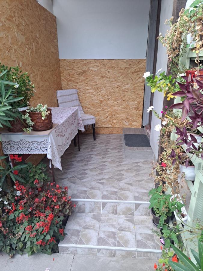 Apartment Capital Town Vk 14 Novi Sad Extérieur photo